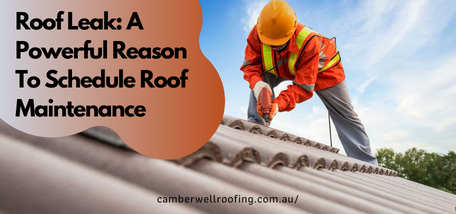 Roof Leak A Powerful Reason To Schedule Roof Maintenance