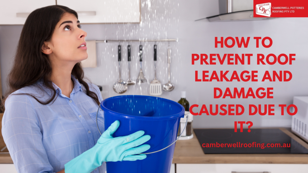 How to Prevent Roof Leakage and Damage Caused Due to It