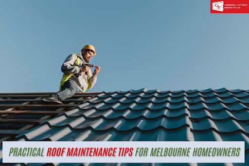 Roof Maintenance Tips